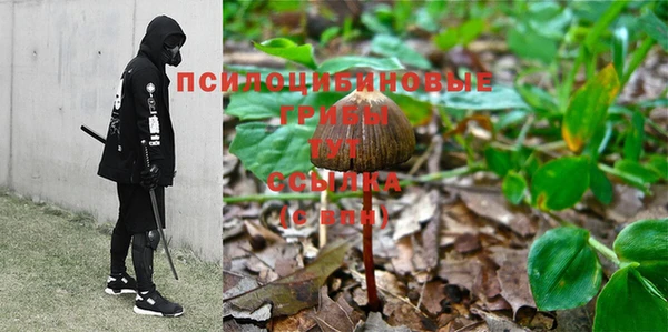 Альфа ПВП Абдулино