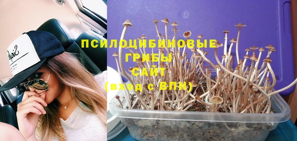 спайс Абинск
