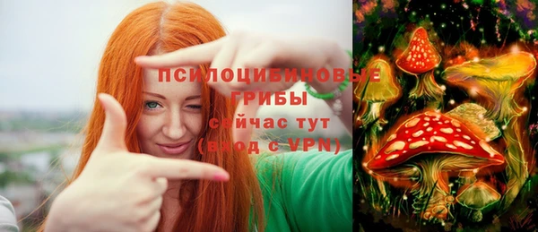 Альфа ПВП Абдулино