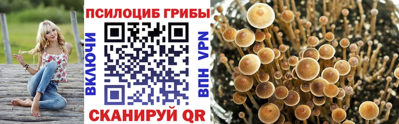 Галлюциногенные грибы ЛСД  Ужур 